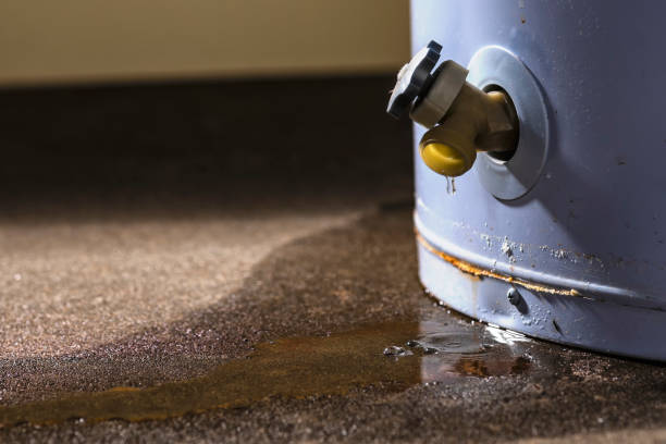 Best Water damage restoration mold remediation  in Bethel Island, CA