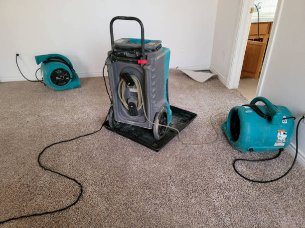 Best 24/7 water damage repair  in Bethel Island, CA