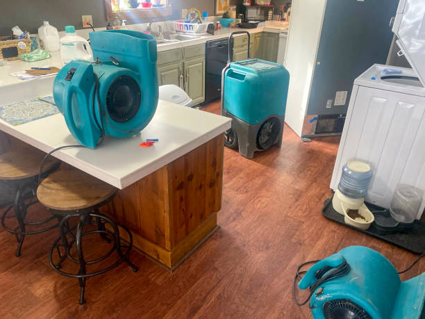 Best Residential water damage restoration  in Bethel Island, CA