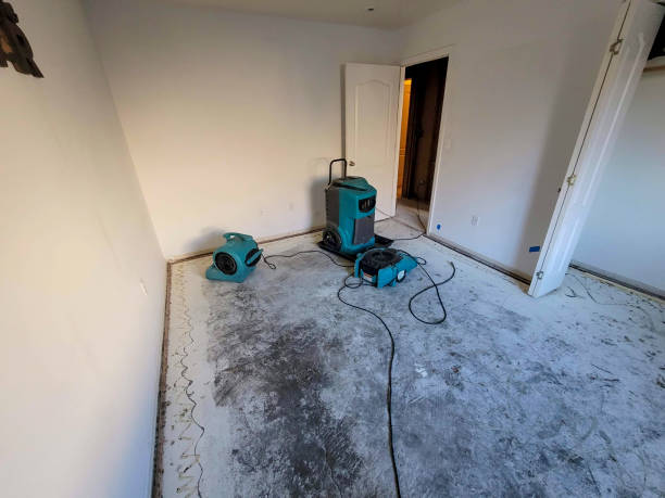 Best Basement water damage restoration  in Bethel Island, CA