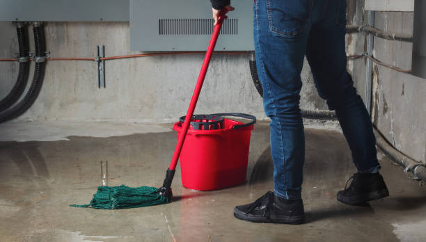  Bethel Island, CA Water damage restoration Pros