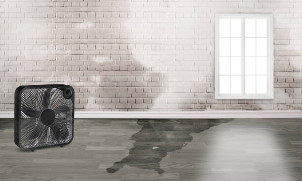 Best Sewage cleanup and water damage restoration  in Bethel Island, CA