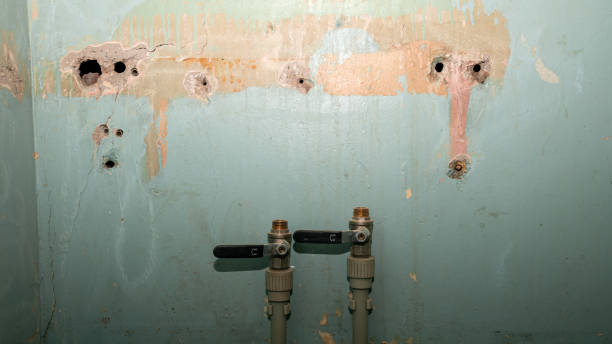 Best Carpet water damage restoration  in Bethel Island, CA